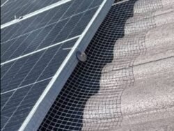 ตาข่ายกันนกสำหรับโซล่าเซลล์